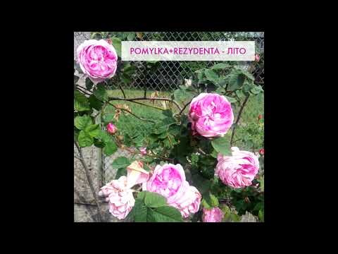 Pomylka+Rezydenta - Літо