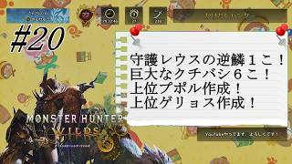 【モンハンワイルズ 】#20 武具コンプの道は険しいのです