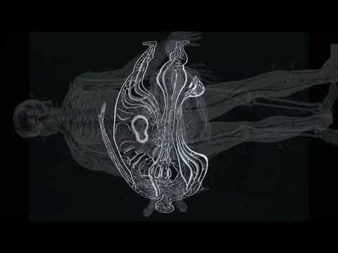 Institut de Radio Protection - Institutet / Vegetarian Space Socialists