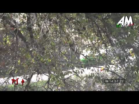 Corbetto   Sorce PSG 1° Rally Day Centro Sicilia HD