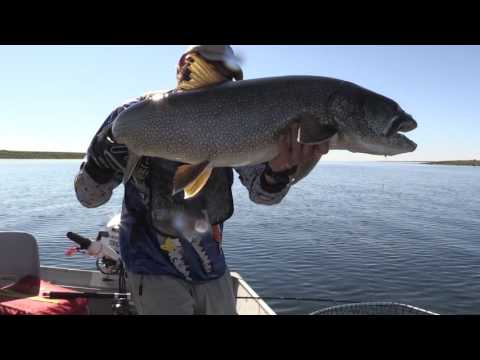 Aylmer Lake Lodge, Northwest Territories