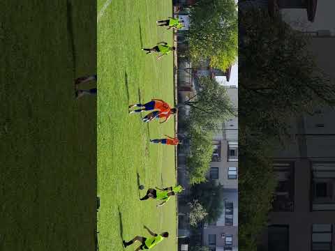 Acs Juniorul 2014 2 - Pro Team repiza 1