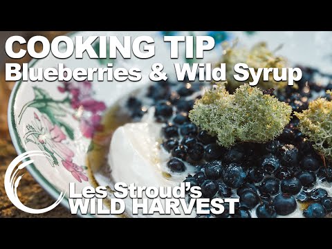 Wild Harvest Cooking Tip | Blueberries & Wild Syrup | Episode 7 | Les Stroud