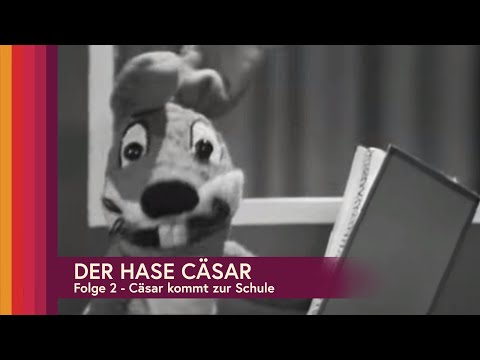 Hase Cäsar - Folge 2: Cäsar kommt zur Schule (ganze Folge auf Deutsch)