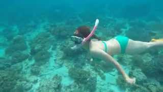 preview picture of video 'Siquijor X Apo Island'