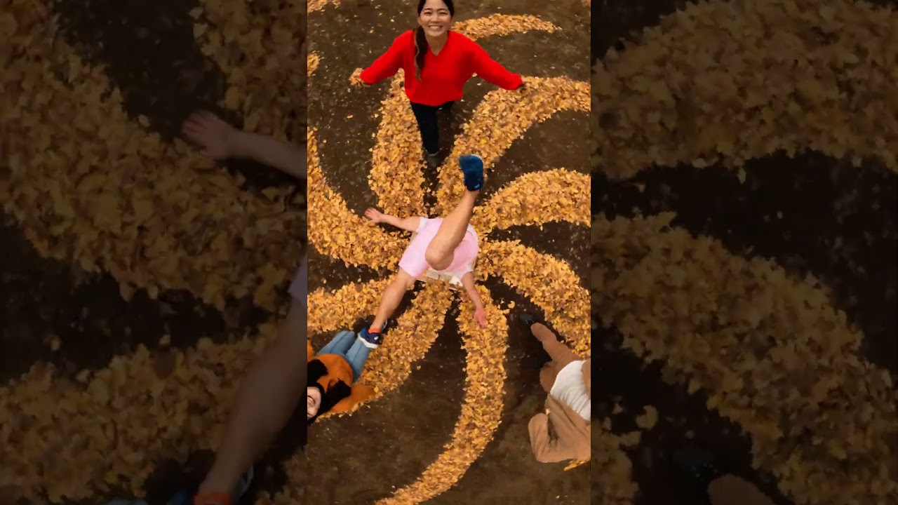 GoPro / 垂直回転