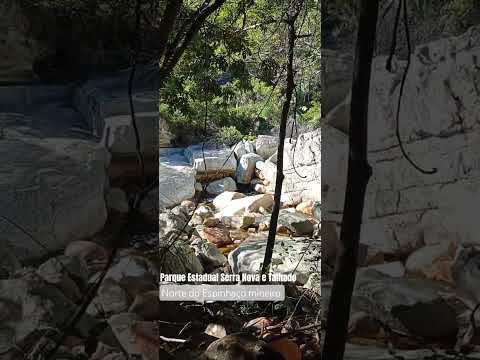 Parque Estadual Serra Nova e Talhado _ Serranópolis de Minas/MG #serradoespinhaço