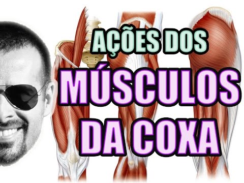 Vídeo Aula 122 - Anatomia Humana - Sistema Muscular - Músculos da Coxa: Quadríceps e Isquiotibiais