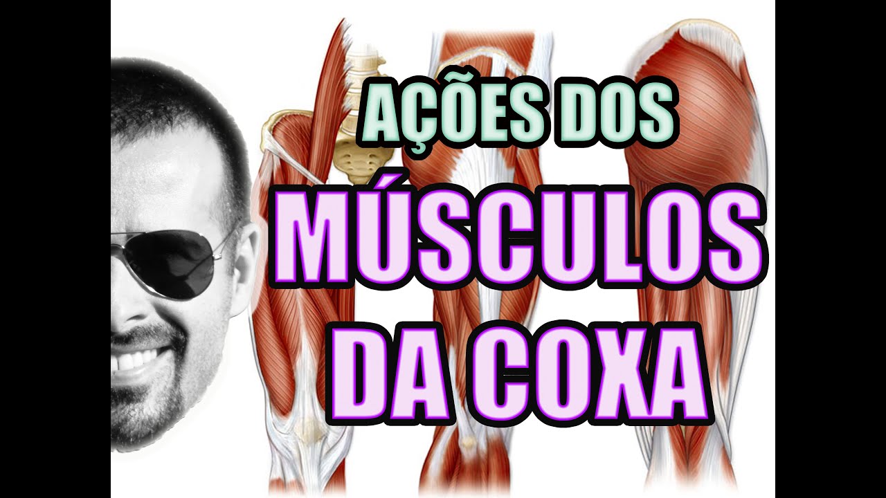 Vídeo Aula 122 - Anatomia Humana - Sistema Muscular - Músculos da Coxa: Quadríceps e Isquiotibiais