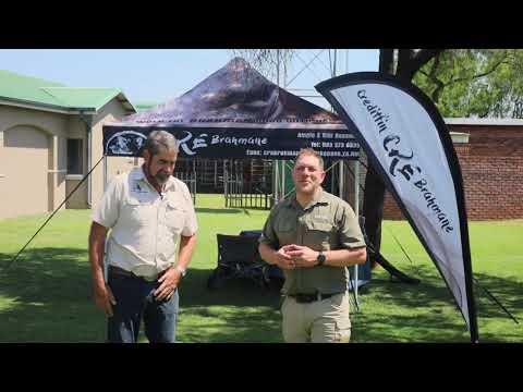 Was macht den Albidus Brahman Sale so beliebt?