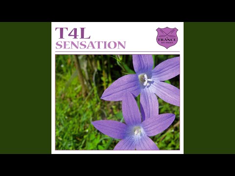 Sensation (Akira Kayosa & Bevan Miller Remix)