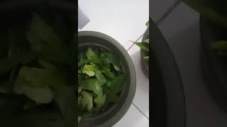 Download lagu kangkung dan ... mp3