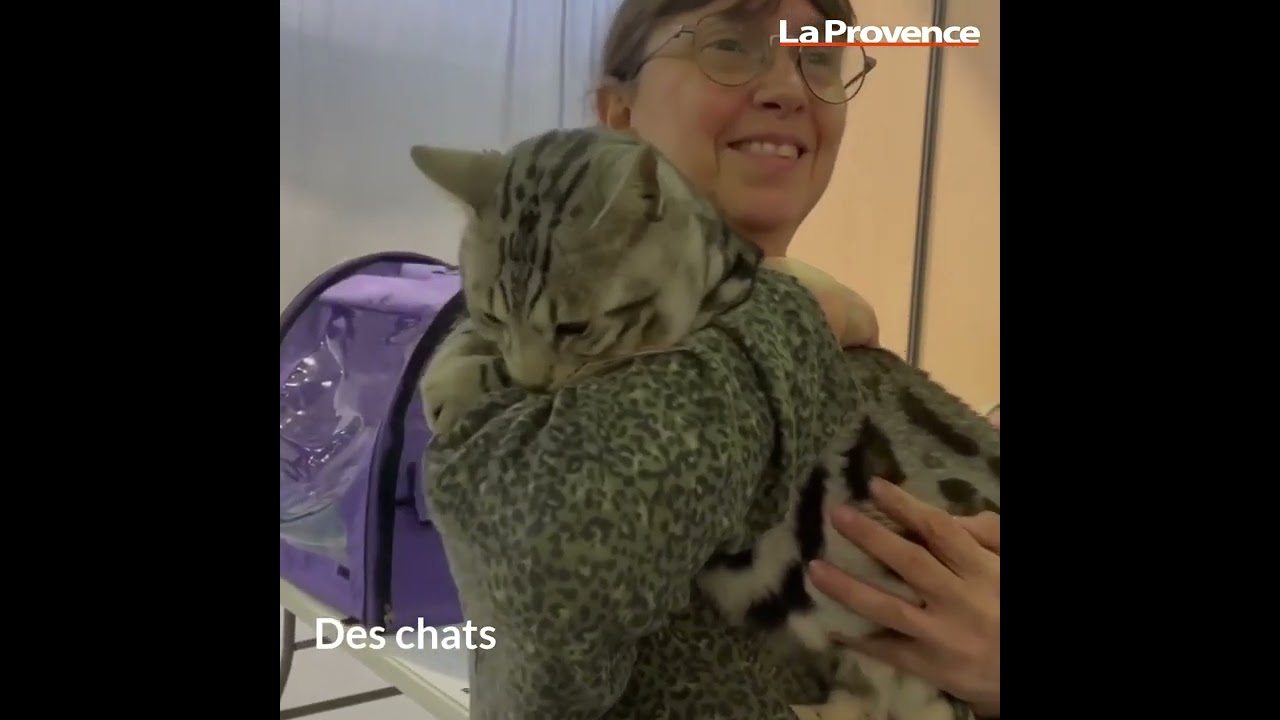 Opération séduction de nos amis à quatre pattes au salon des animaux de compagnie à Aubagne