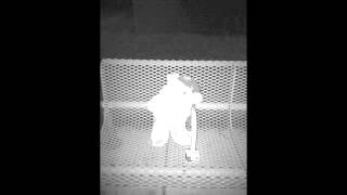 Guided by Voices - Lariat Man