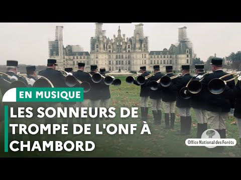 Les sonneurs de trompe de l'ONF au domaine national de Chambord