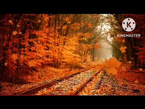 tsis ntseeg hais tiag koj yuav siab phem nkauj kho siab