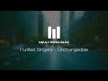 Purified Singers Unchangeable