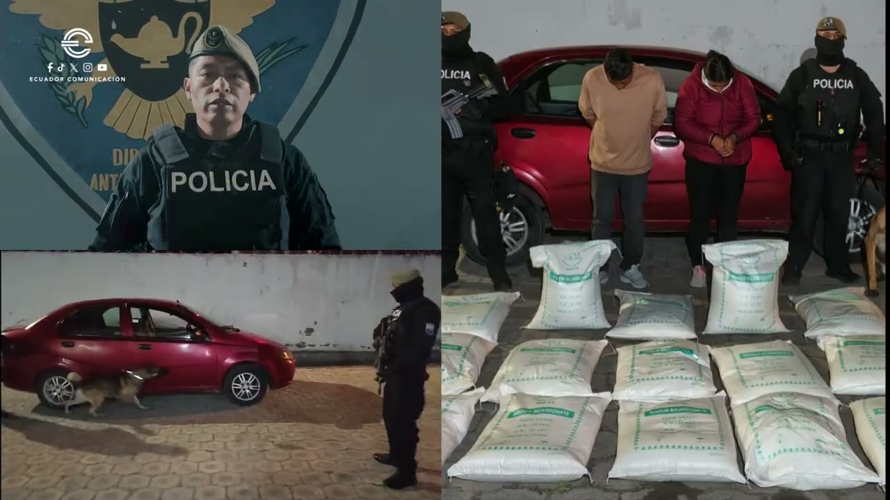 Policía incauta 377 kg de bicarbonato (precursor para drogas) y aprehende a dos ciudadanos en operativo “Polvo”