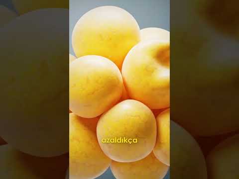 Ayhan Karaca-8