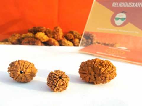 Rudraksha Combination for Health and Money
