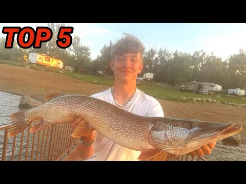 My 5 BIGGEST Pike of 2025 (Absolute MONSTERS)