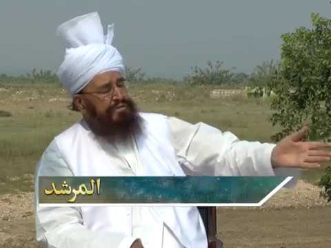 Watch  YouTube Video