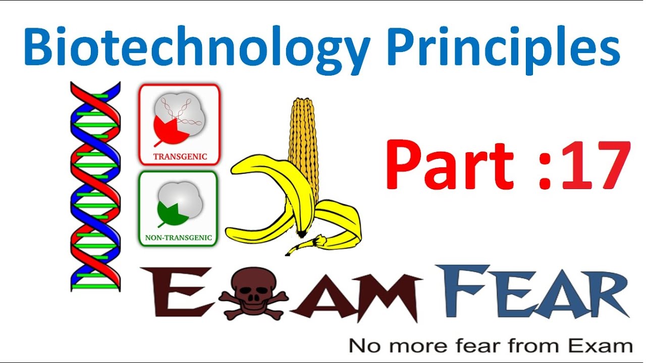 Biology Biotechnology Principles part 17 (Isolation of DNA, Cutting of DNA) class 12 XII