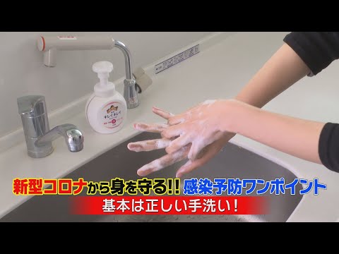 携帯電話を適切に掃除する:これがコロナから身を守るために研究者が推奨していることです