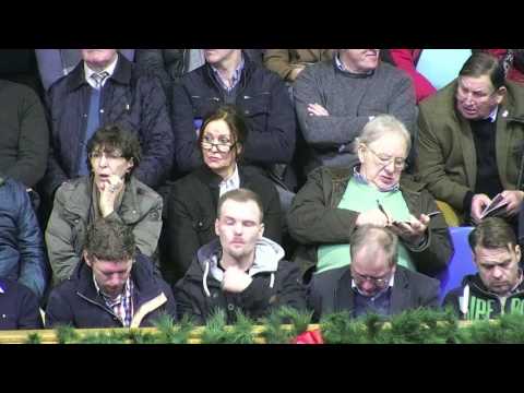 Feinrich - deutsch - 2017