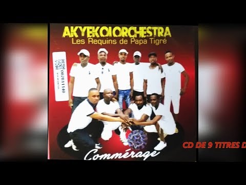 AKYEKOI ORCHESTRA - TIGRÉ LA JOIE