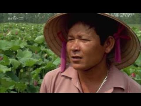 Vietnam Im Zeichen des Lotus Doku (2017)