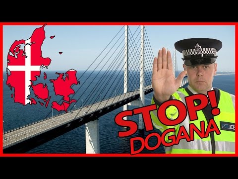 Che liberarsi da vermi a gravidanza Raccolga funghi il fungo di esca di fotografia di parassita