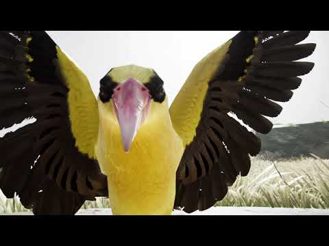 パリソルム黄疸