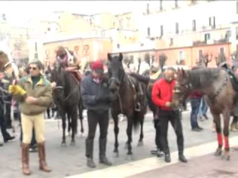 ONDA TG 21.01.2013 - BENEDIZIONE ANIMALI