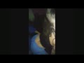 THE GIRLS PARTY DANCE LIT WEEKEND VLOG She Twerking