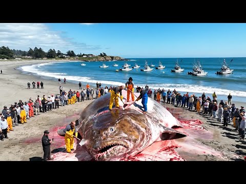 The Ocean World and 2 more