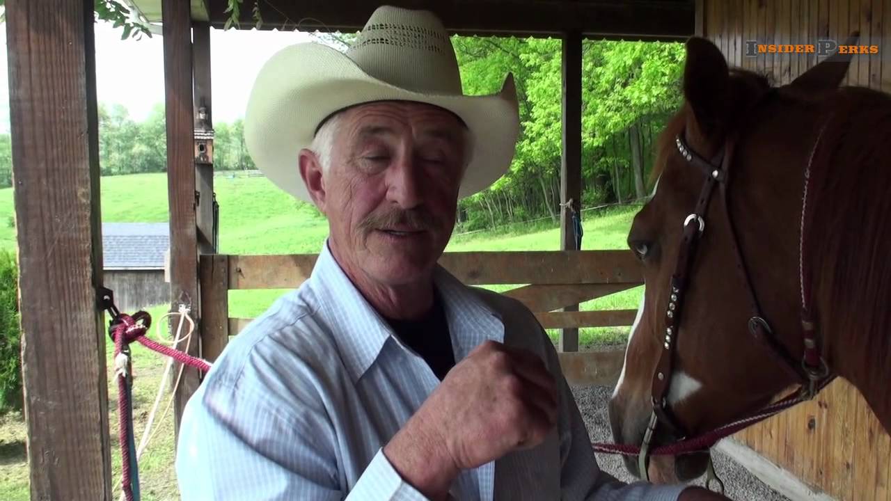 How to ride a horse