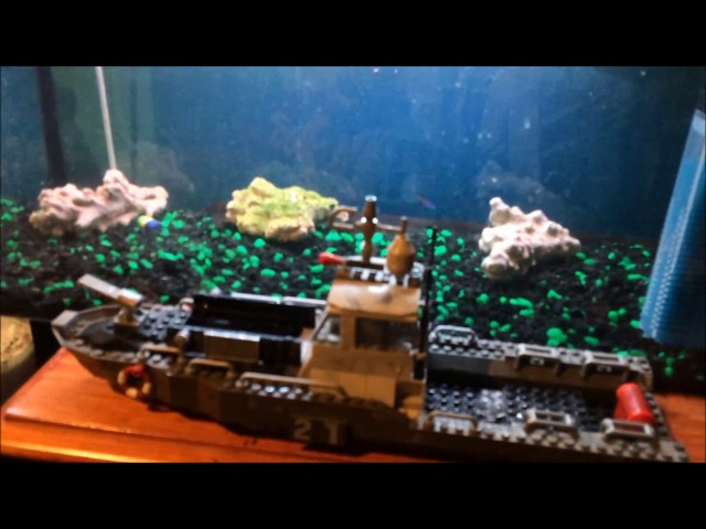 putting lego in tropical fish tank