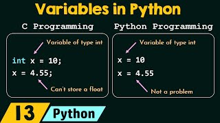 Download the video "Variables in Python"