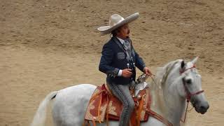 Antonio Aguilar Jr.- Domingo Corrales