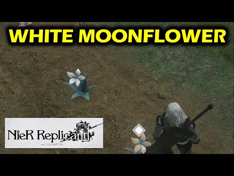Legendary Gardner Trophy: White Moonflower | Legendary Flower | NieR Replicant ver 1.22 (2021)