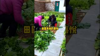 Music video thumbnail preview for Backstreet Boys - Larger Than Life (Official Video) by Life Garden