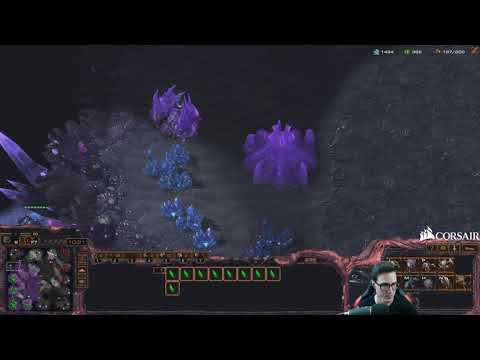PiG vs Scarlett ZvP | Lurker hydra Viper vs Carriers! StarCraft II