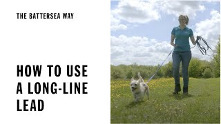 How To Use A Long-Line Lead | The Battersea Way