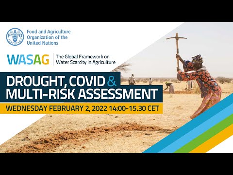 Drought, COVID-19 and multi-risk assessment