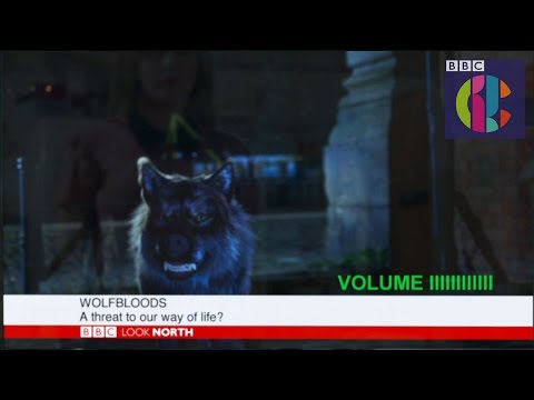 Wolfblood Series 5 | Episode 6 | CBBC