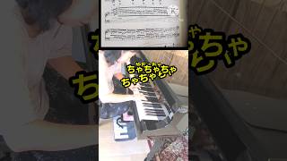 Download lagu 61才　リスト「ため息」練習中　 #shortsfeed #ピアノ #ショート #おうちピアノ mp3