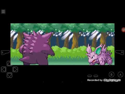 Chuva de máster ball