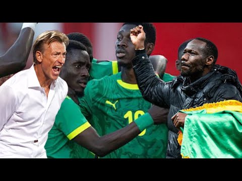 Match amical Sénégal vs Arabie Saoudite: Les détails de la confrontation entre Pape Thiaw et Renard