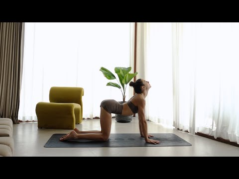 Cours de Yoga pour Débuter